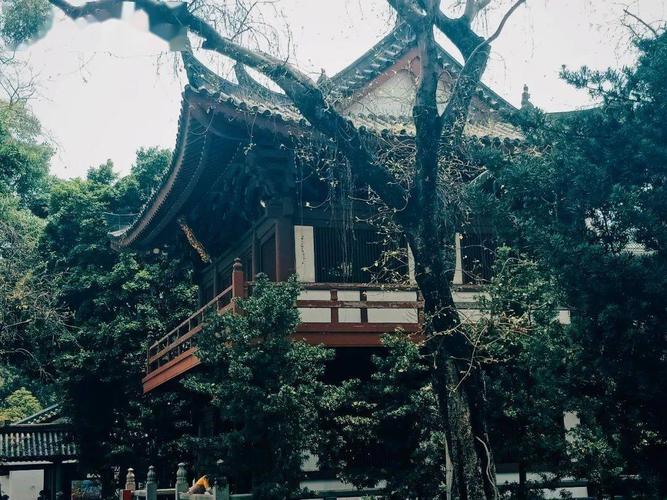 李娜个人资料简介张家界 李娜个人资料简介张家界