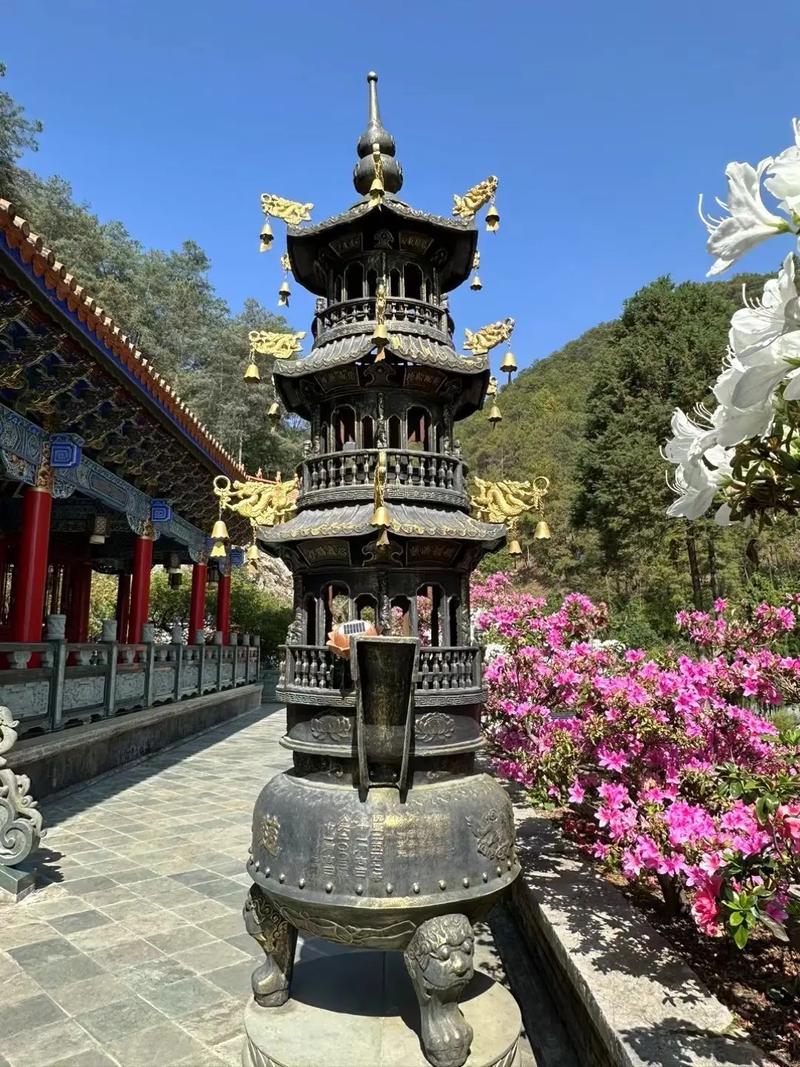 梦见别人给我买票回家 梦见订票回家 梦见别人给我买票回家 梦见订票回家