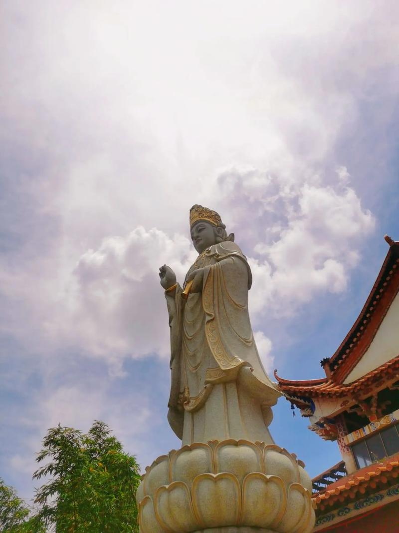 属猪的今年多大年龄哪年出生的 猪今年多大2 属猪的今年多大年龄哪年出生的 猪今年多大2