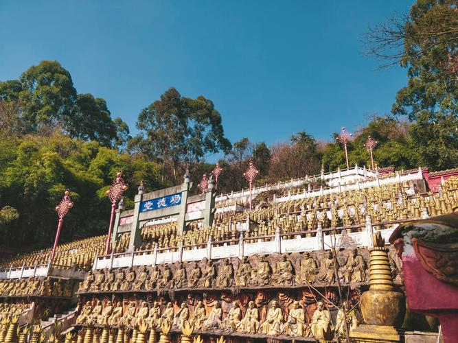 2008年是什么生肖年 2008年是什么命 2008年是什么生肖年 2008年是什么命