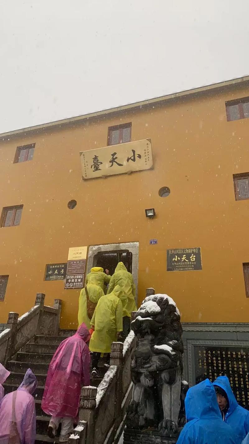 重归于好 2026年感情有望复合的生肖 重归于好 2026年感情有望复合的生肖
