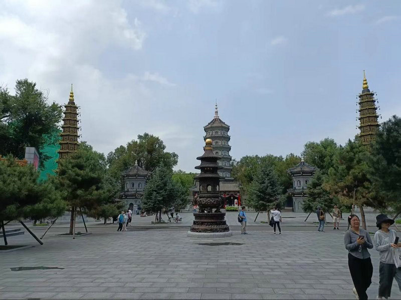 2025年简单又火的舞蹈 2025年简单又火的舞蹈