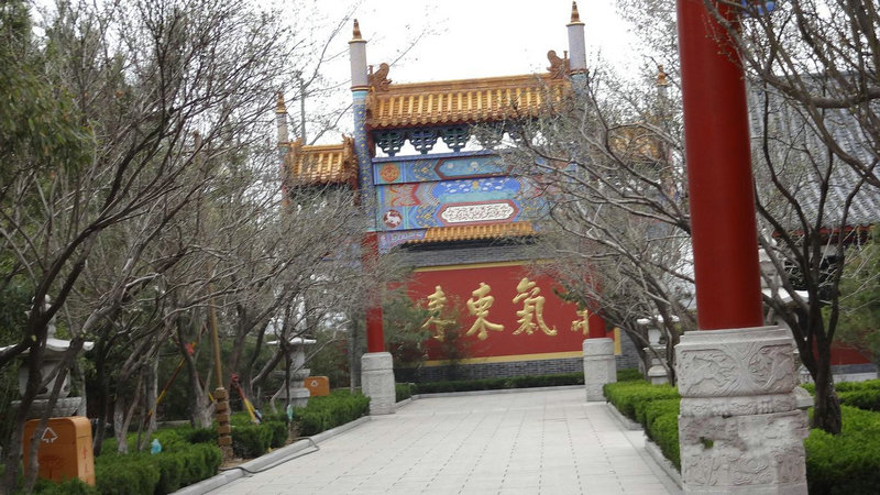 女龙男牛属相婚配好吗 女龙男牛在一起可以吗 女龙男牛属相婚配好吗 女龙男牛在一起可以吗