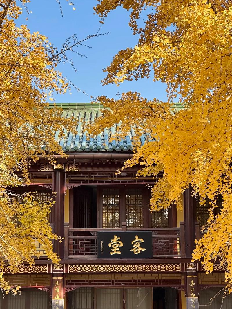 2025东京奥运会奖牌榜 2025东京奥运会奖牌榜