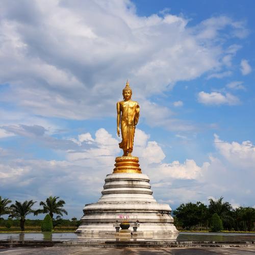 ��¶�ʺ����