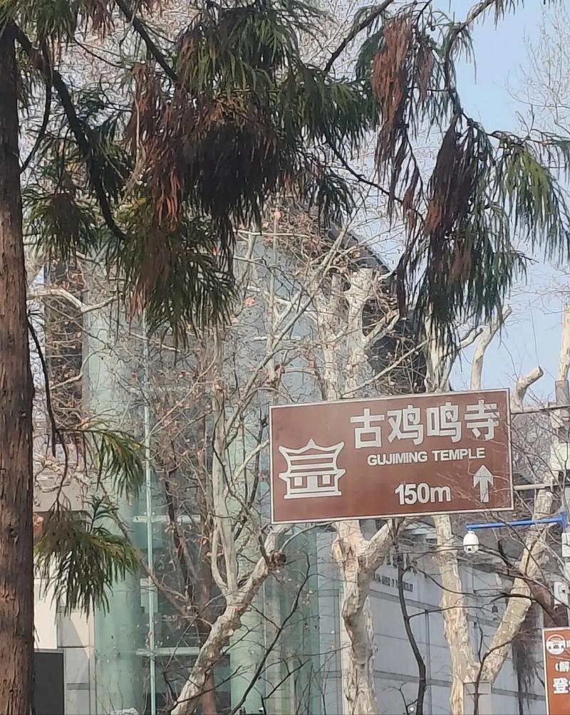 属马的今年财运如何,69年属鸡女在2026年财运方 属马的今年财运如何,69年属鸡女在2026年财运方