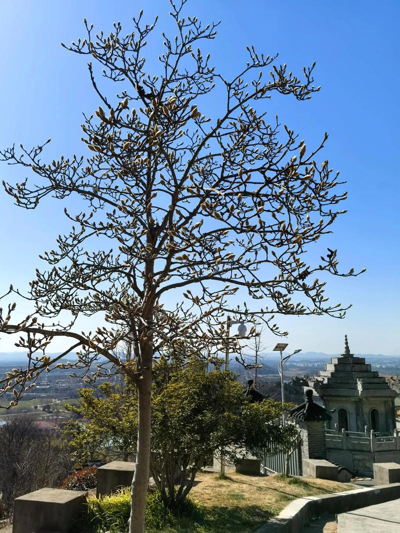 Ӱ޸ι(ǷӰ޸άϵļѡ)