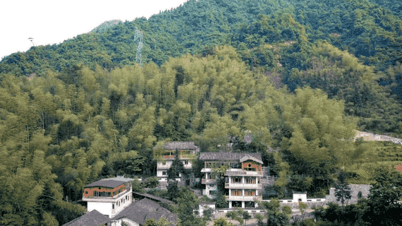 ����������Ը�������������ָ��