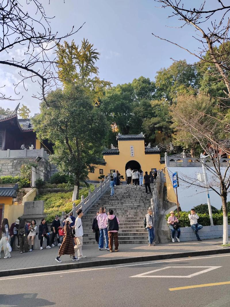 乌龟出眠为什么容易死,巴西龟为什么冬眠的时 乌龟出眠为什么容易死,巴西龟为什么冬眠的时