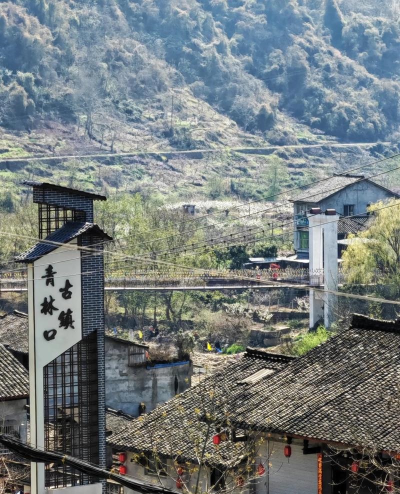 ���ַ�ˮ����ͼƬ��ȫ���ֻ��ŷ�ˮ���ձ���ȫ