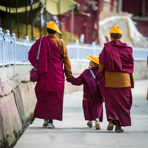 θıӹϵĽž(Ϊӹϵž)