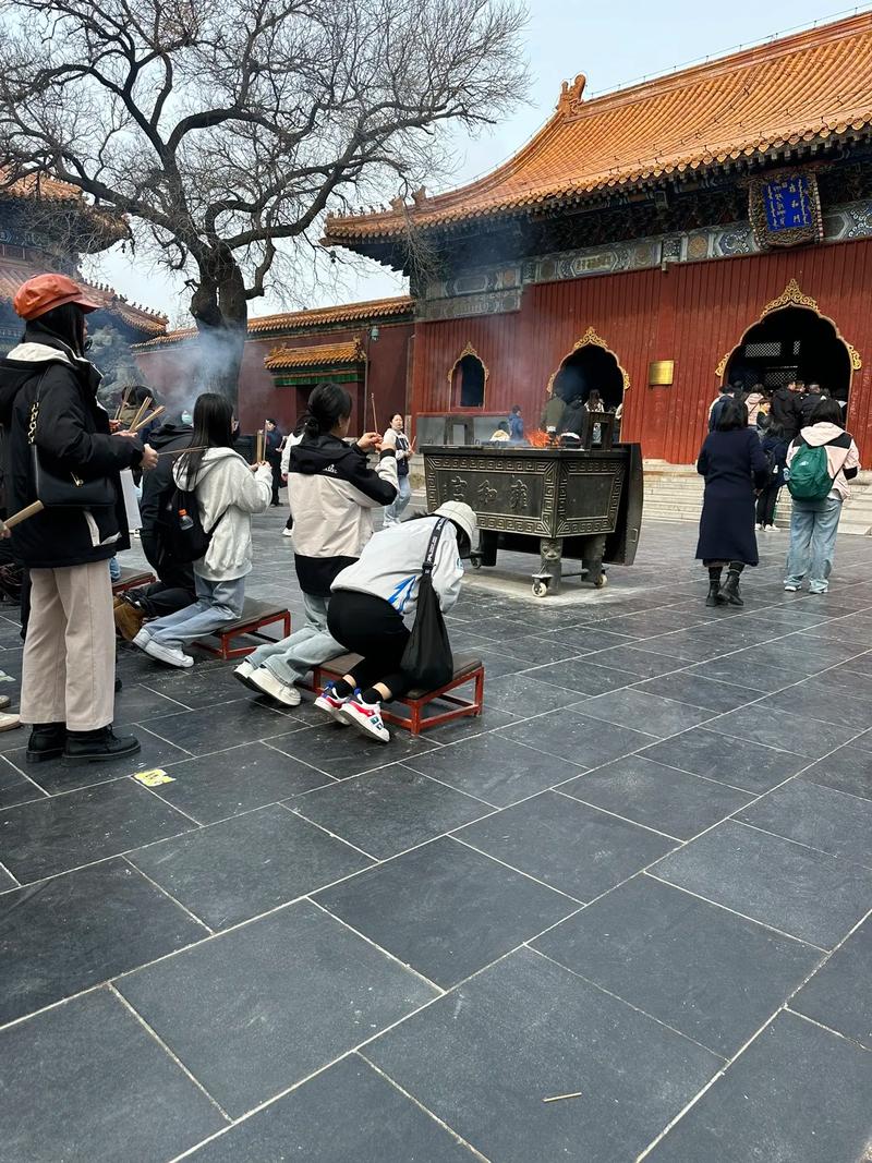 ��׿诰��� ��׿�������