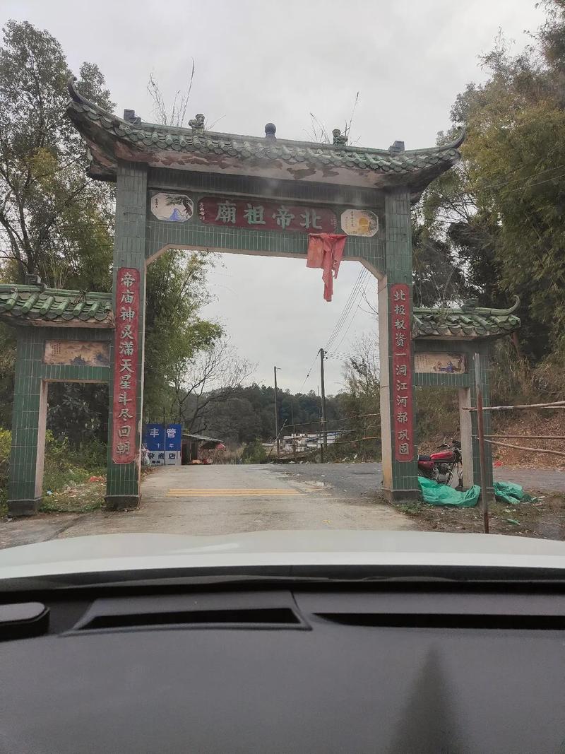 ʮ������Ů���İ���������