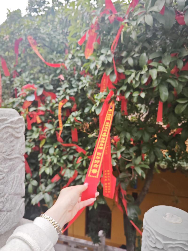 йش̤ľô˵йش̤ľ