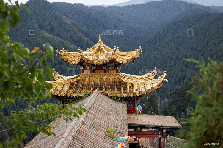 98年属虎运势不好 98年属虎今年有财运吗是什么意思? 98年属虎运势不好 98年属虎今年有财运吗是什么意思?