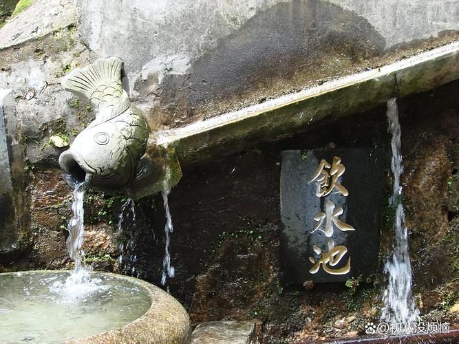 �Ŵ����Ӹ������϶��