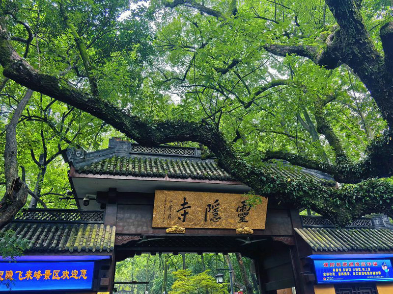 李姓猪年男孩名字大全 李姓男孩名字大全顺口大气 李姓猪年男孩名字大全 李姓男孩名字大全顺口大气