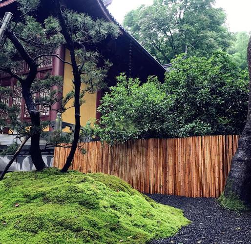 ��ɽ������լ��������