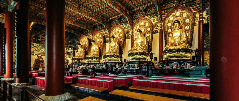 2023ñ˫̥Ů ˫̥Ů˳