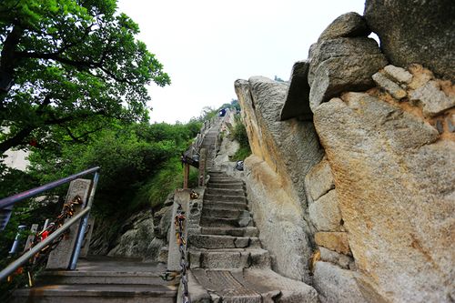 ʵ���������ݷ�ˮ����լ��ˮʵ��ͼ��