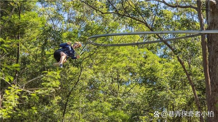 属鼠男一生命运如何 属鼠男的婚姻会是怎么样 属鼠男一生命运如何 属鼠男的婚姻会是怎么样