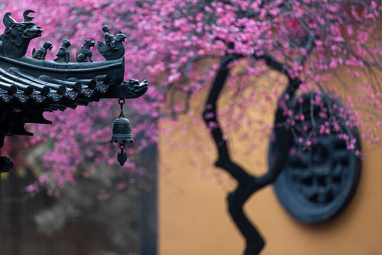 20256»Ҽ ũƵղѯ20256