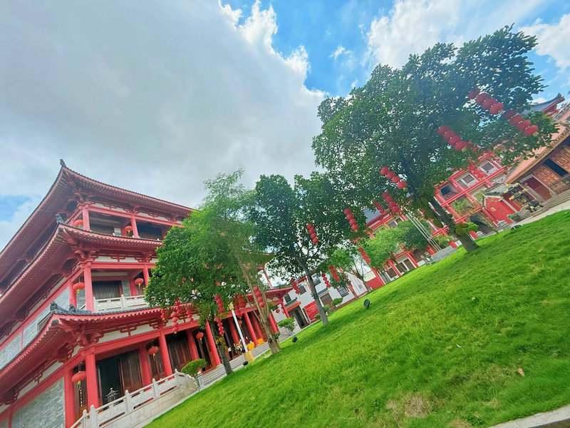 �̵㻢��ʲô����