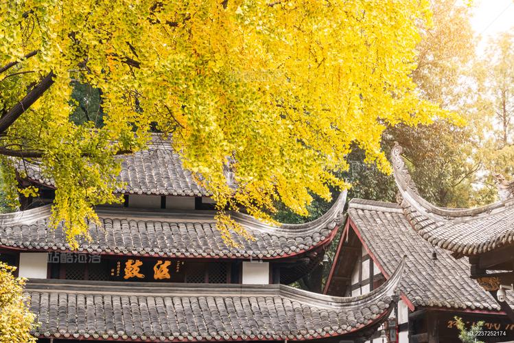 女演员任素汐、女演员任素汐的个人资料 女演员任素汐、女演员任素汐的个人资料