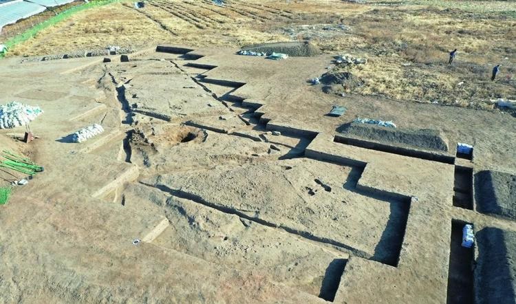 虎年男孩起名张籽沐是否能与春风共舞畅享天喜星的祝福(虎年男孩起名张籽沐是否会影响未来幸福与平安) 虎年男孩起名张籽沐是否能与春风共舞畅享天喜星的祝福(虎年男孩起名张籽沐是否会影响未来幸福与平安)