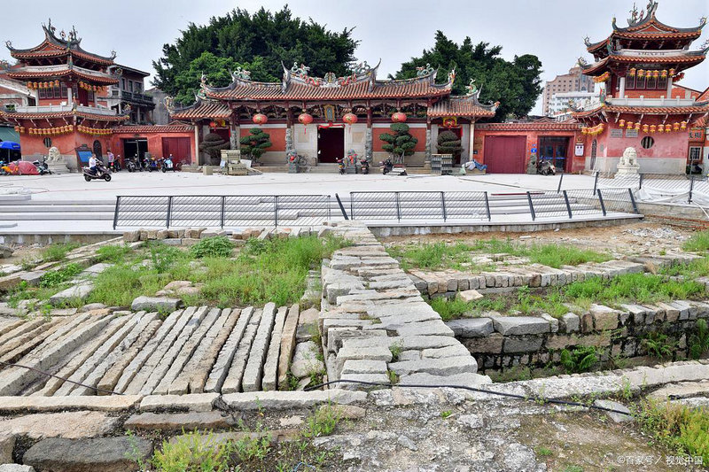 玫瑰朵数寓意 你送错花朵了吗 玫瑰朵数寓意 你送错花朵了吗