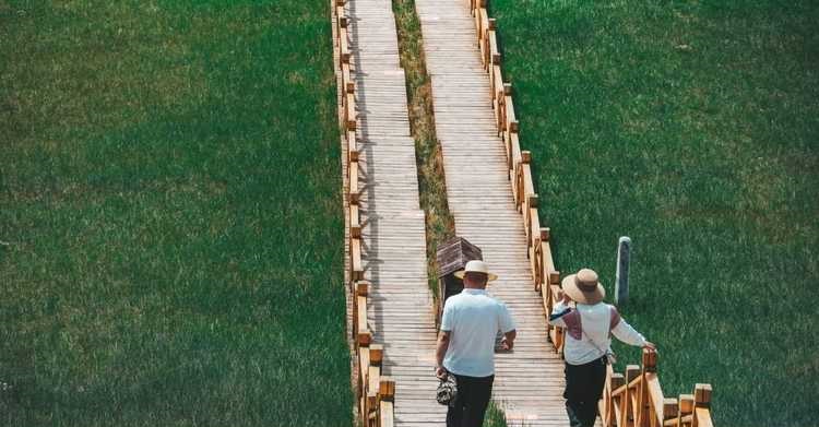 属兔今年运气如何 2025 年生肖兔2月财运如何 属兔今年运气如何 2025 年生肖兔2月财运如何