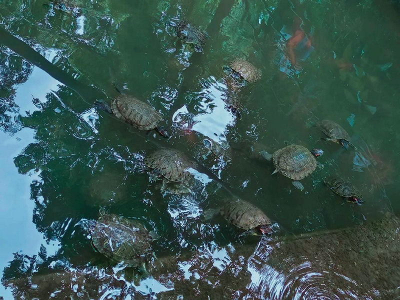 2014ŮǷȴжӰδ(2014ŮΪλӰδķչҸ)