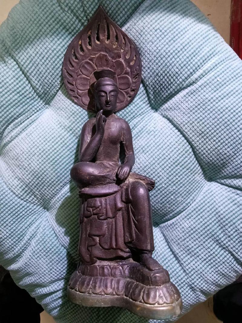 章若楠大学在哪里读的 章若楠大学在哪里读的