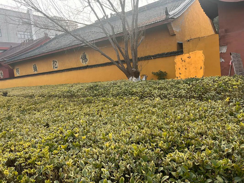 双手相互接触叫什么 双手相互接触叫什么