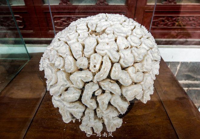 漳州旅游必去十大景点有哪些 (房车风水十大禁忌图解说) 漳州旅游必去十大景点有哪些 (房车风水十大禁忌图解说)