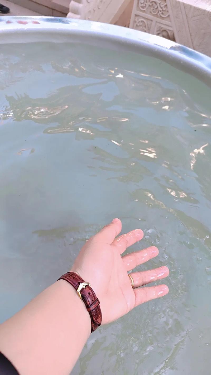 朱玲玲面相惊人面相看你是极品女人吗? 朱玲玲面相惊人面相看你是极品女人吗?