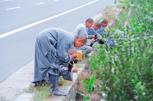 西游记张卫健版国语高清 西游记张卫健版国语高清
