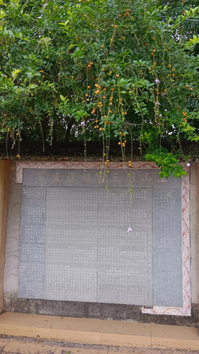 ҽ���˵�����ʲô