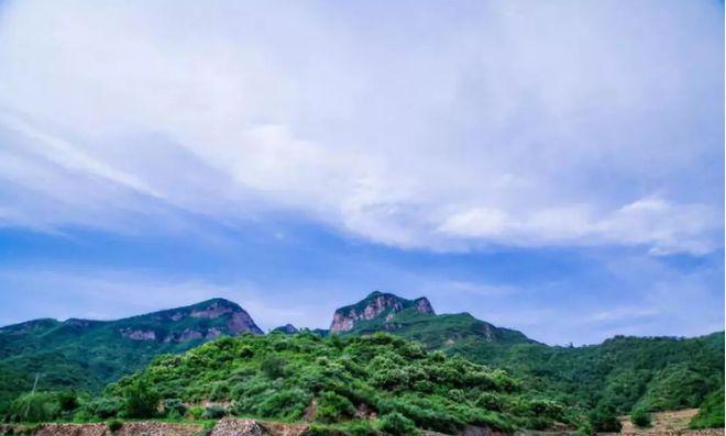 2017ţǷĻӰ޼ĺгҸ