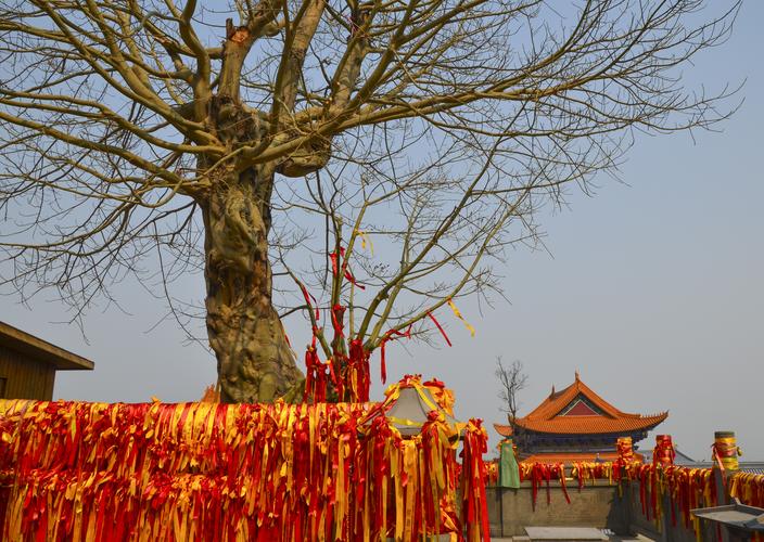 ز˾ͻǷܵ͸Ļйϵ(ز˾ͻǷܵ͸Ļйϵ)