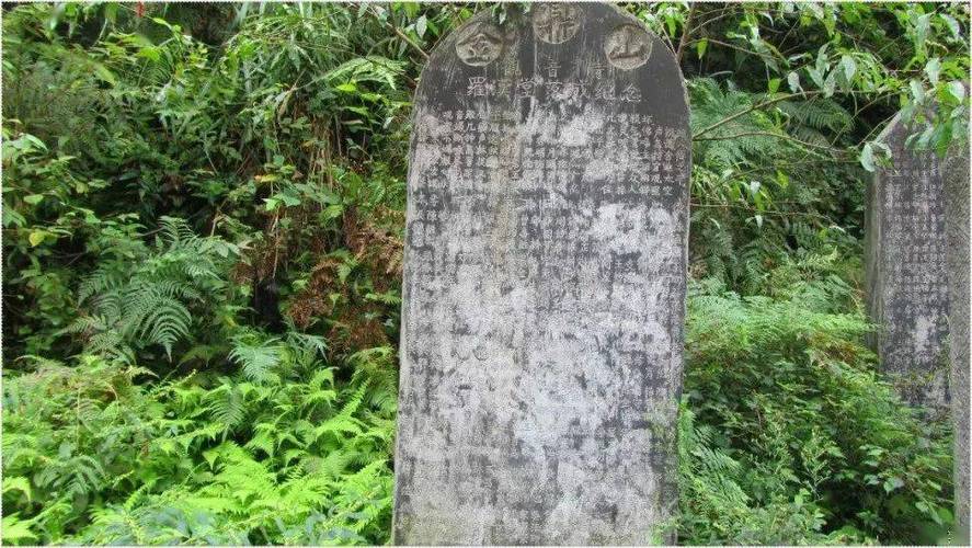 出轨娶了小三还会再出轨吗,为什么男人出轨离 出轨娶了小三还会再出轨吗,为什么男人出轨离