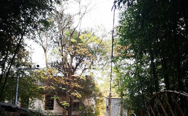 ��ѧ��ˮȥ�����ʦ (ѧ��ˮ����һ���ð�ʦ��)