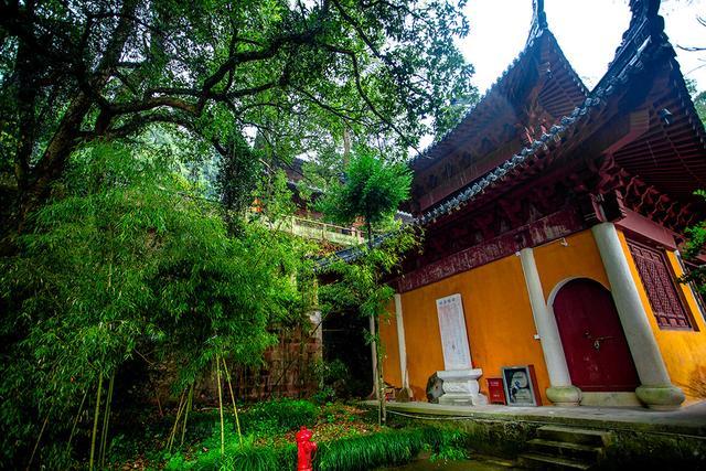 ȡĸ׼Ӱ;״(ȡĸ׼ǷӰ;״)