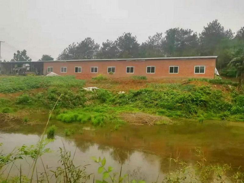 梦到母亲从高处坠落吉凶 连续七天做梦梦到母亲 梦到母亲从高处坠落吉凶 连续七天做梦梦到母亲