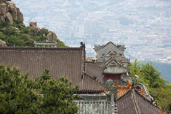 婚配属相男鼠女兔是否真的能和谐共处,他们的性格差异会带来哪些潜在问题 婚配属相男鼠女兔是否真的能和谐共处,他们的性格差异会带来哪些潜在问题