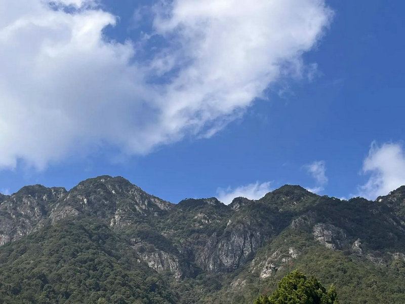 属猴和属牛的婚配好吗 属猴和属牛的婚配好吗