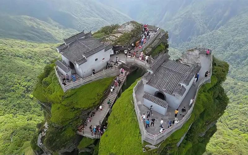 ʢ׼ȷԤҵδҶԴ˸еǳ