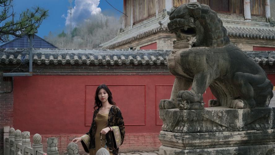 ˾ϴǷӰżļҾȶ(˾ϴǷӰδżҾ)