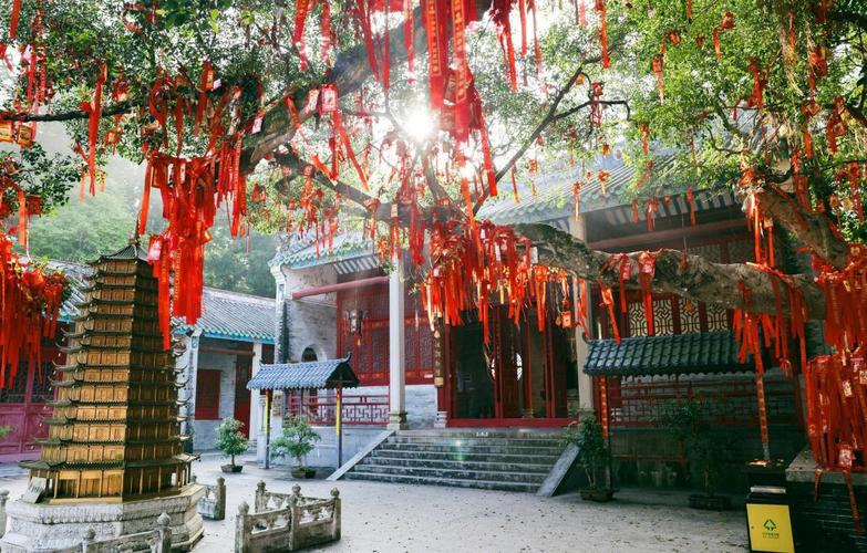 ��Ů����ʮ����������