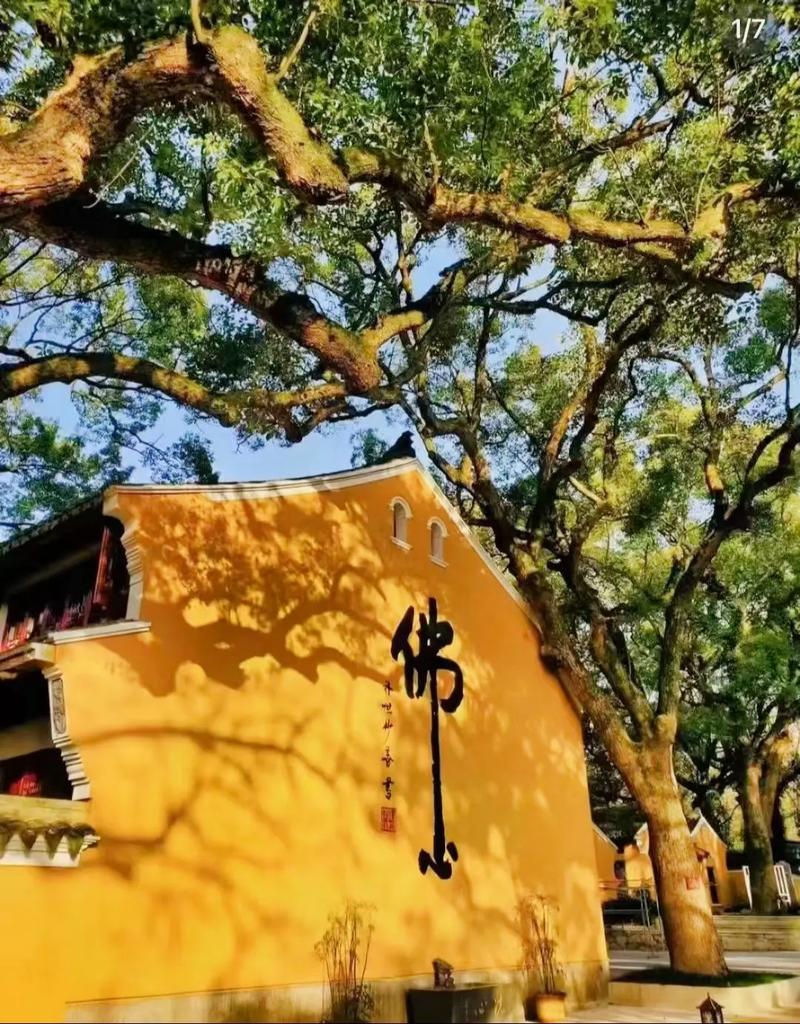 吕祖灵签45签详解感情生活单调怎么办(感情生活为何如此单调吕祖灵签45签详解) 吕祖灵签45签详解感情生活单调怎么办(感情生活为何如此单调吕祖灵签45签详解)